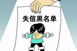 淮阳债务清欠服务